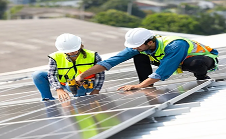 速看，這所2W人高校如何利用暑期，快速搭建綠色校園